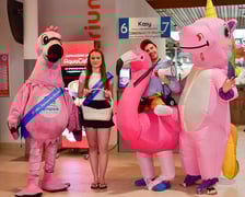 18. urodziny Aquaparku