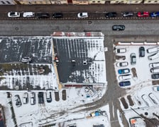 <p>Roślina uszkodziła gzyms i dach</p>