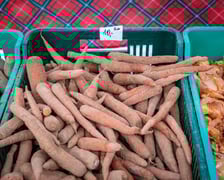 <p>Dolnośląski Targ Rolny przy Zwycięskiej 8</p>