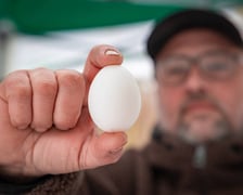 <p>Dolnośląski Targ Rolny przy Zwycięskiej 8</p>