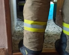 <p>Interwencja w mieszkaniu na Nowowiejskiej - Animal Patrol likwiduje nielegalny "gołębnik"</p>