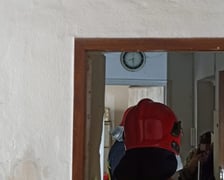 <p>Interwencja w mieszkaniu na Nowowiejskiej - Animal Patrol likwiduje nielegalny "gołębnik"</p>