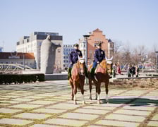 <p class="MsoNormal">Obchody rocznicy I Kongresu Polak&oacute;w w Niemczech przy kościele św. Marcina na Ostrowie Tumskim</p>