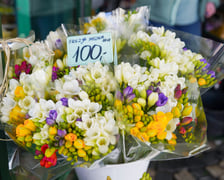 Kwiaty na Dzień Kobiet 2026