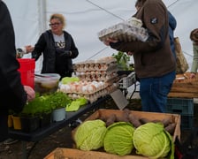 <p>Dolnośląski Targ Rolny przy ul. Zwycięskiej we Wrocławiu, 14.03.2026</p>