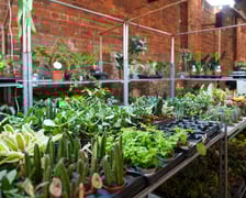 Festiwalu Kupuj Świadomie w Czasoprzestrzeni - 15.03.2026 r.