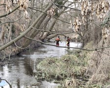 Akcja związana z przeszukiwaniem rzeki Młynówki w Kiełczówku pod Wrocławiem