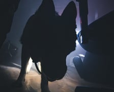 <p>Szkolenie mundurowych przewodnik&oacute;w i ich ps&oacute;w służbowych z ZK1 przy Kleczkowskiej</p>