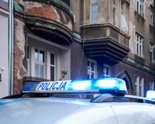 <p>Policyjny pirotechnik nie stwierdził wewnątrz "skorupy" pocisku materiał&oacute;w wybuchowych</p>