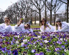 <p>Wrocławianie otrzymali doniczki z kwiatami. Wcześniej zakrywały tajemniczy napis</p>