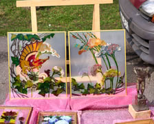 <p>Targ Staroci pod Iglicą - marzec 2026</p>