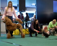 Dolnośląskie Targi Zoologiczne na Tarczyński Arena Wrocław