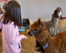 Dolnośląskie Targi Zoologiczne na Tarczyński Arena Wrocław