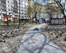 Nasadzenia na skwerach przy ul. Wandy oraz Na Szańcach