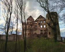 <p>Zamek Świny</p>