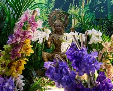 <p>Fantastyczny World Flower Show &ndash; Światowa Wystawa Roślin na Tarczyński Arena 11 i 12 kwietnia</p>