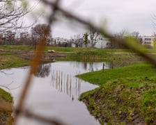 <p>Park Krzycki we Wrocławiu</p>