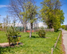 <p>Nasadzenia zieleni przy Armii Krajowej</p>