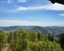 <p>Widok z Dzikowca</p>
