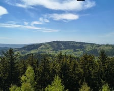<p>Widok z Dzikowca</p>