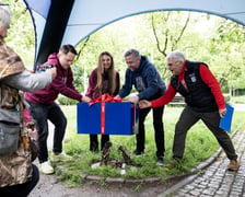 Nowe krasnale na skwerze przy ul. Wincentego