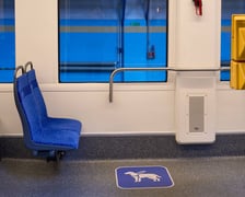 Wnętrze Pesy 146N
