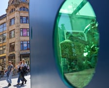 Odrzańskie akwarium w Rynku we Wrocławiu