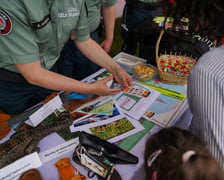 Piknik „Służby Dzieciom” we Wrocławiu, 30 maja 2026 r.