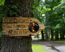 Przeprowadzka kur ze Schroniska dla Bezdomnych Zwierząt  do Schroniska dla Bezdomnych Mężczyzn im. Świętego Brata Alberta w Szczodrem
