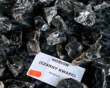 <p>Giełda Minerał&oacute;w "Pod Platanami" na Bulwarze Zwierzyckiego, Wrocław 13.06.2026</p>