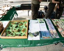 Piknik Bezpieczny Wrocław