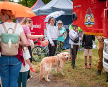Piknik z cyklu „Wakacje z Wroclaw.pl” zorganizowany w niedzielę 5 lipca nad Stawem Królewieckim na Maślicach