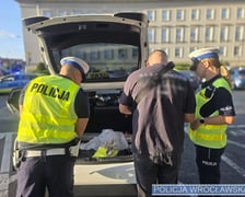 Nocna akcja na Dolnym Śląsku. Taksówki na aplikację na celowniku służb