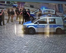 Zdjęcia z monitoringu dokumentujące kradzież szpady i późniejszą akcję służb