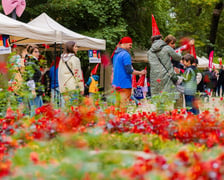 Ludzie odwiedzają plenerowe stoiska Festiwalu Krasnali w parku, widoczni zza rozmytego planu pełnego czerwonych kwiatów