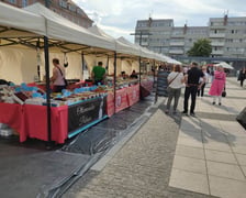foodtrucki na placu Nowy Targ