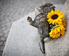 Wrocław jest nazywany miastem krasnali. Nie bez powodu - na jego terenie znajdziemy aż 457 figurek, a lista nadal się powiększa. Dla ułatwienia poszukiwań powstała mapa krasnali, można ją zakupić na rynku w Centrum Informacji Turystycznej.