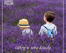 W tym roku lawenda zakwitła o wiele szybciej, niż w latach poprzednich.  Ale, jak co roku, zachwyca...