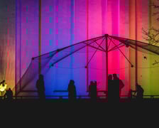 Na zdjęciu iluminacja Ogrodu Botanicznego we Wrocławiu w poprzednich latach
