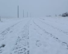 Na zdjęciu śnieg w Karkonoszach