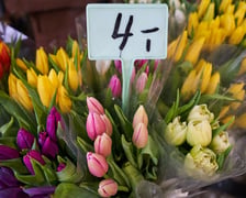 Zobaczcie co oferują wrocławskie kwiaciarki na pl. Solnym i za ile można kupić kwiaty, bukiety i wiązanki