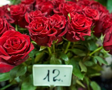 Zobaczcie co oferują wrocławskie kwiaciarki na pl. Solnym i za ile można kupić kwiaty, bukiety i wiązanki