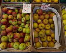 Pasaż Zielińskiego. Stoiska