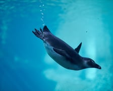 Zoo Wrocław