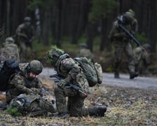 <p>Wśr&oacute;d zadań stawianych przed żołnierzami obrony terytorialnej znajdują się m.in.:</p>
<ul>
<li>Utrzymanie powszechnej gotowości do obrony Rzeczypospolitej Polskiej.</li>
<li>Ochrona ludności przed skutkami klęsk żywiołowych, likwidacja ich skutk&oacute;w, ochrona mienia, akcje poszukiwawcze oraz ratowanie lub ochrona zdrowia i życia ludzkiego, a także udział w realizacji zadań z zakresu zarządzania kryzysowego.</li>
<li>Wsp&oacute;łpraca z elementami systemu obronnego państwa, w tym szczeg&oacute;lnie z wojewodami i organami samorządu terytorialnego.</li>
<li>Kształtowanie w społeczeństwie postaw i wartości patriotyczno-obywatelskich.</li>
</ul>