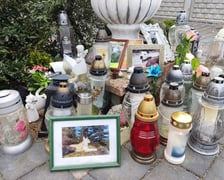 Cmentarz dla zwierząt Tęczowy Most pod Wrocławiem