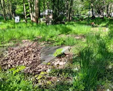 Cmentarz parafii Trójcy Świętej na Krzykach