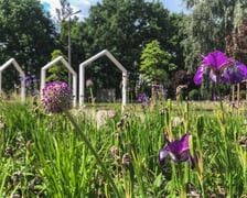 Park kieszonkowy przy ul. Tczewskiej