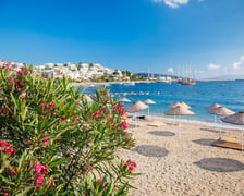 <p><strong>2. Bodrum</strong></p>
<p>Ta miejscowość w południowo-zachodniej Turcji, położona naprzeciw wyspy Kos, zajmuje drugie miejsce w zestawieniu czarterowym z Wrocławia. W tym kierunku na wypoczynek z wrocławskiego lotniska udały się 22 153 osoby. Bodrum słynie nie tylko z doskonałej bazy turystycznej, ale i unikatowej panoramy miasta, na kt&oacute;rą składają się m.in. słynne białe domki ulokowane na wzg&oacute;rzach. W Bodrum znajduje się też duża przystań jachtowa, z kt&oacute;rej można wybrać się na wycieczkę na położone niedaleko greckie wyspy takie jak Kos czy Rodos.</p>