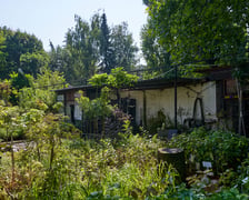 Słynny 30-letni sklep ogrodniczy przy ogrodzie botanicznym zamknięty! Co się stało?